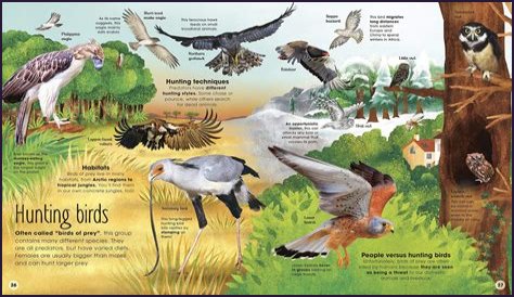 Uncover The Extraordinary World Of Victoria Looney: Discoveries And Insights